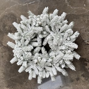 Sitra krans 24 cm i diameter 