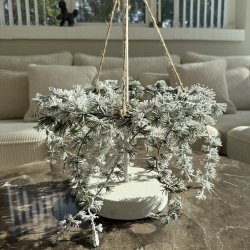 Telma krans 35 cm i Diameter 